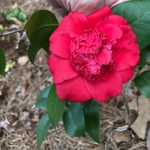 Meet your Posher, Karen